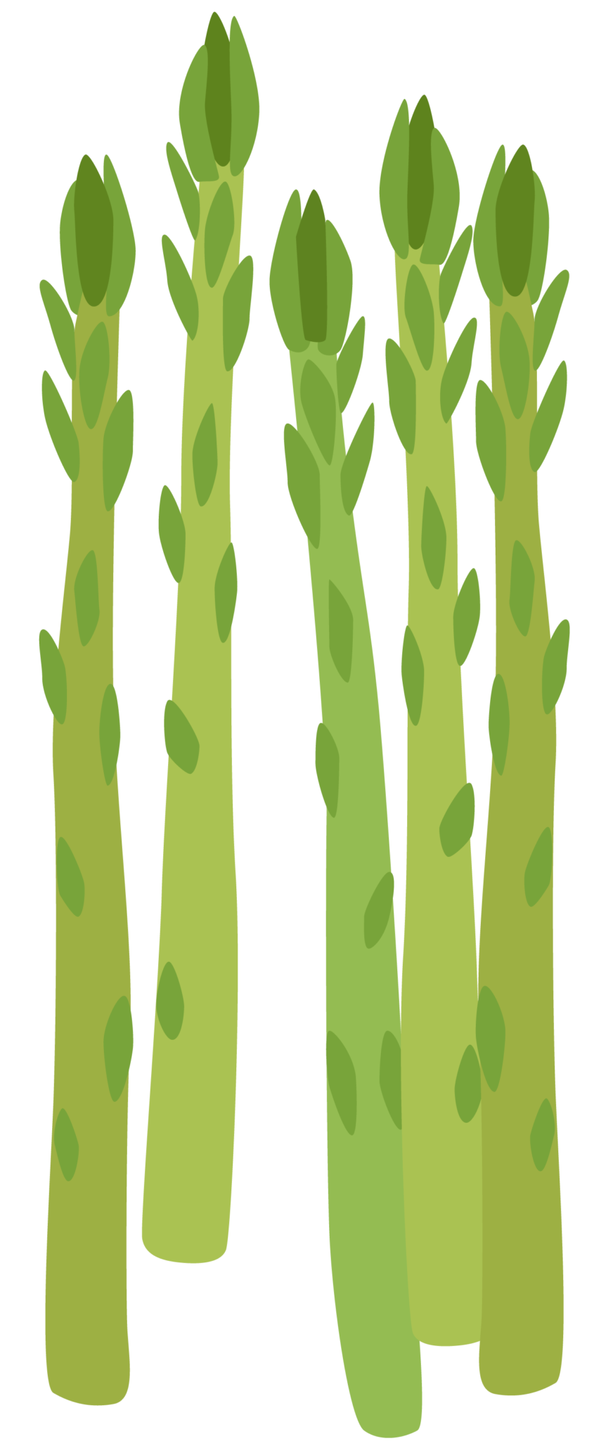 Pregnancy 101 Foods To Eat When Pregnant